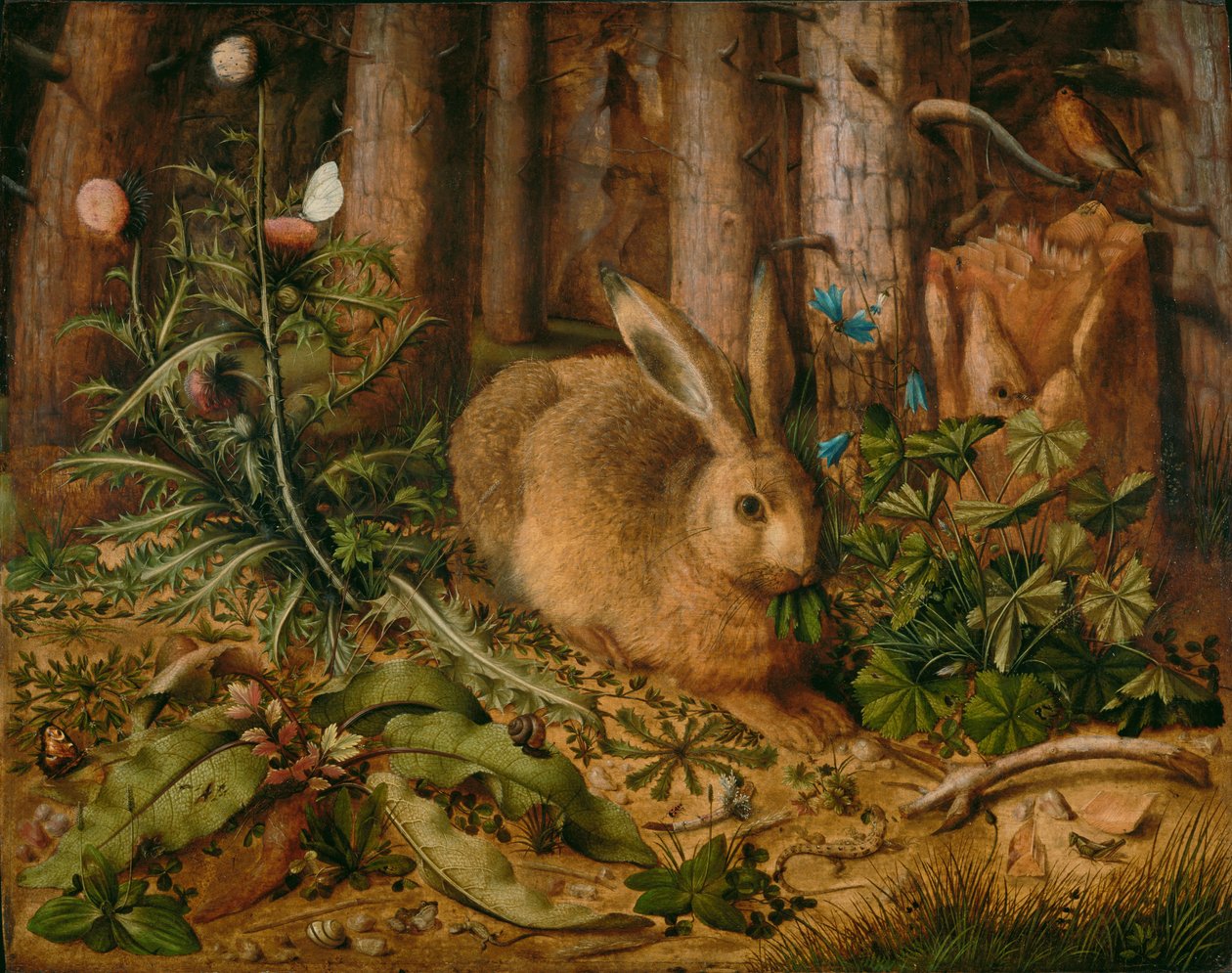 Un lièvre dans la forêt - Hans Hoffmann