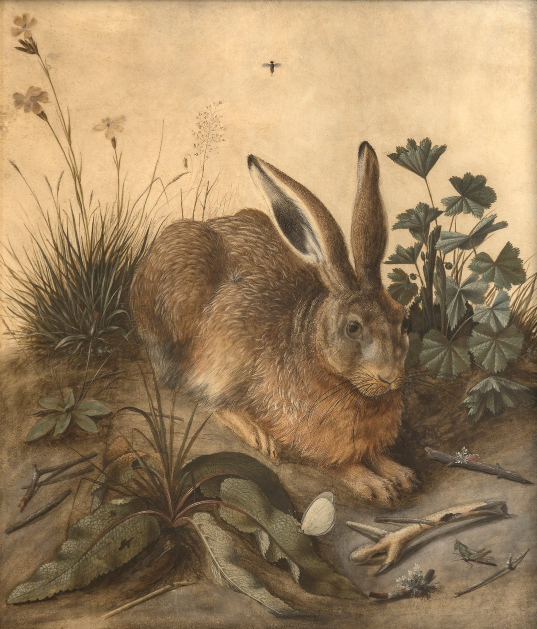 Le lièvre - Hans Hoffmann
