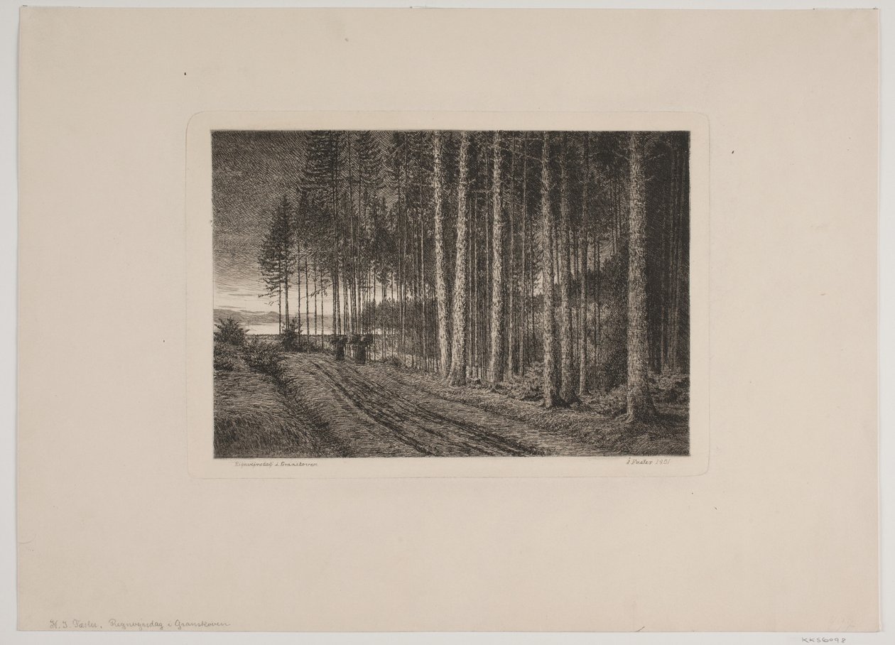 Jour de pluie dans la forêt de sapins - Hans Julius Fæster