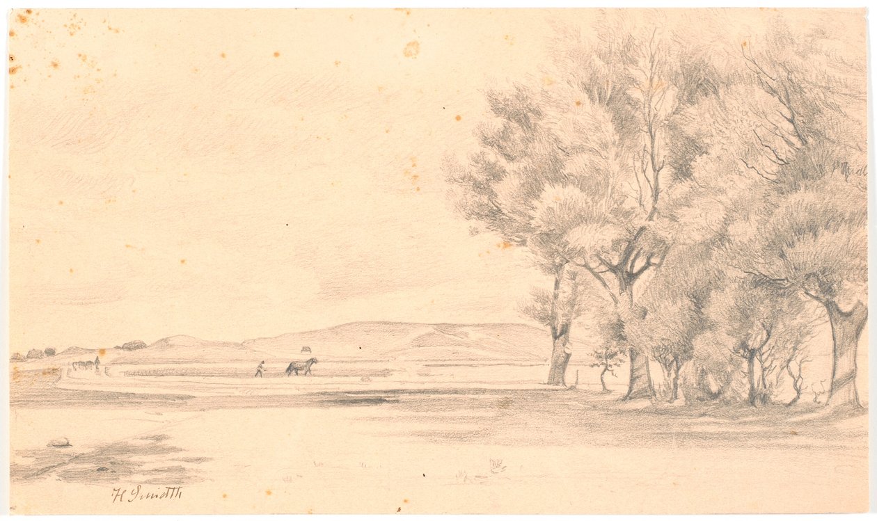 Paysage avec champ labouré; à droite, de grands arbres - Hans Smidth