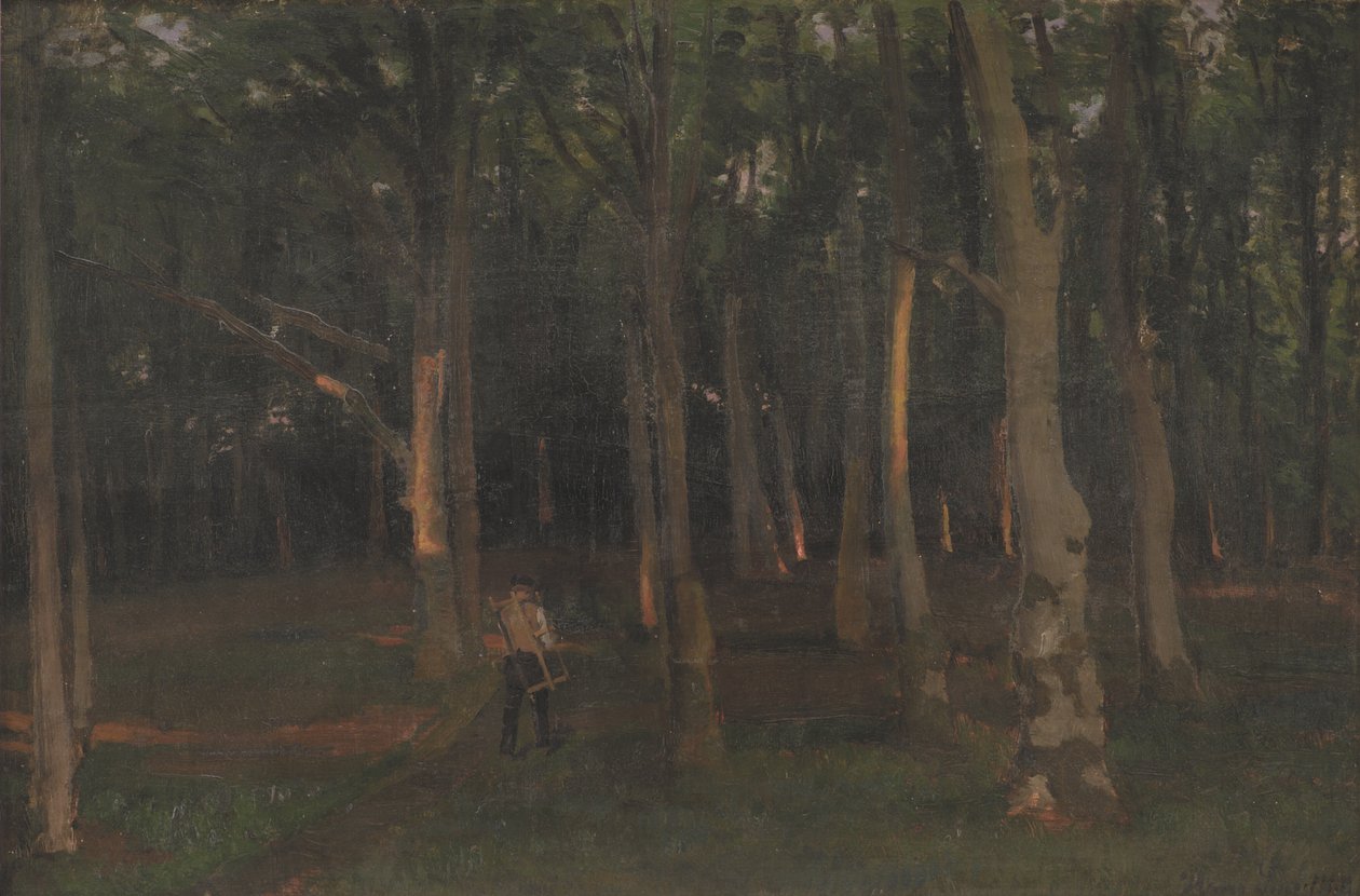 Forêt au coucher du soleil - Hans Smidth
