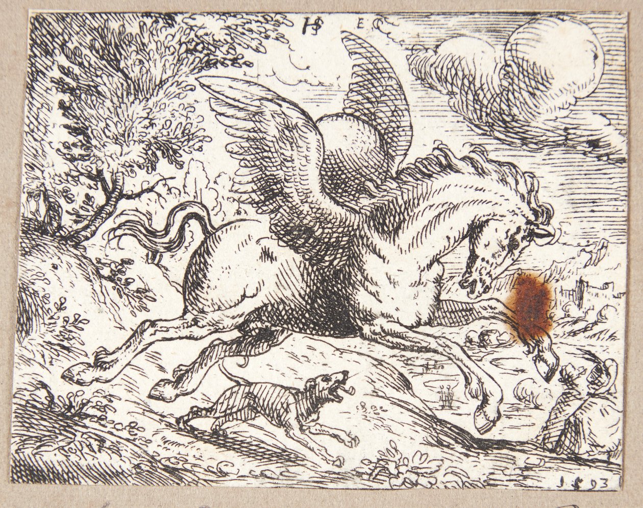 Pégase - Hans Strohmayer