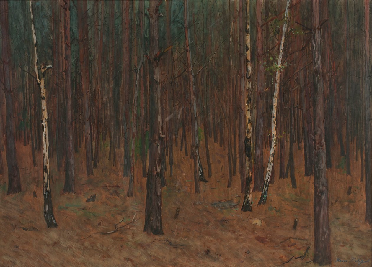 Intérieur de forêt - Hans Tichy