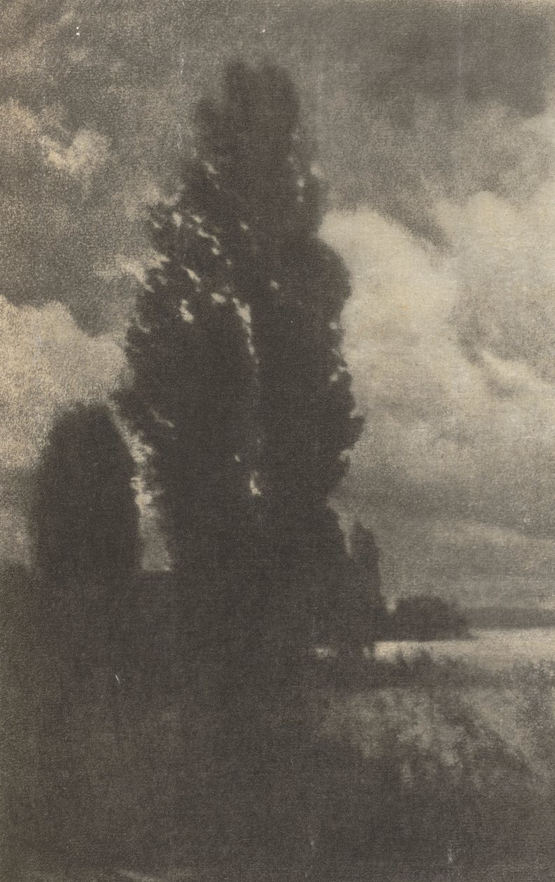 Camera Work: Peupliers et nuages, 1906 - Hans Watzek