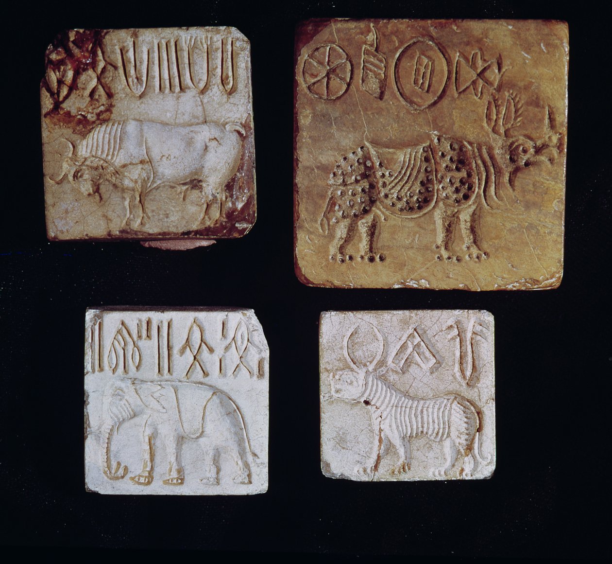 Quatre sceaux représentant un taureau, un rhinocéros, un éléphant et un tigre avec des symboles pictographiques, de la Vallée de l