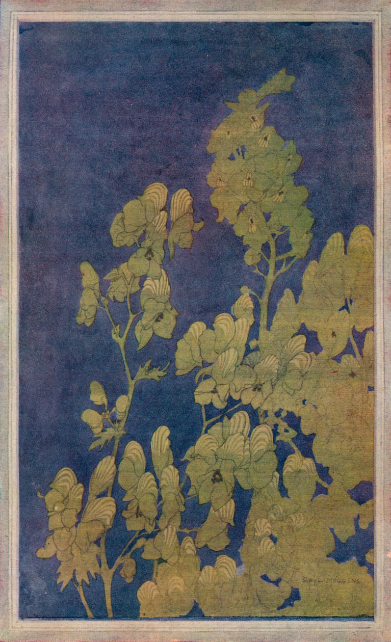 Aconit - Harriet Sibyl Meugen