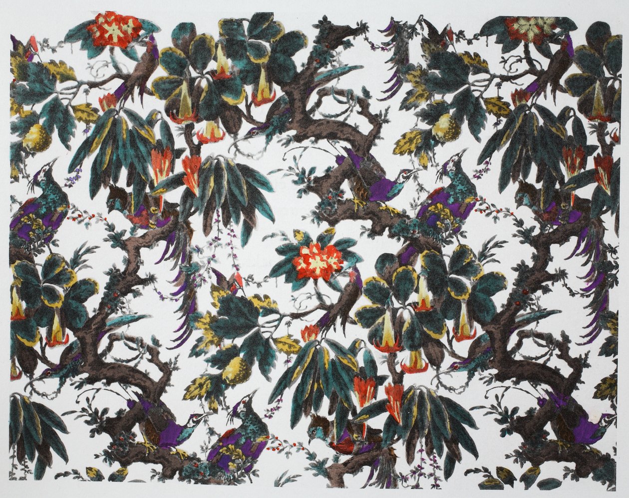 Forêt tropicale, pub. 1933 - Harry Wearne