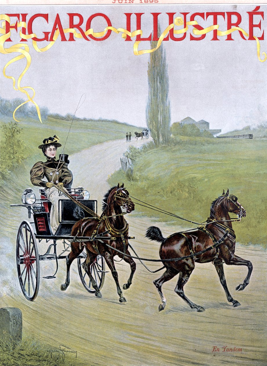 Femme conduisant une calèche - Harry Finney