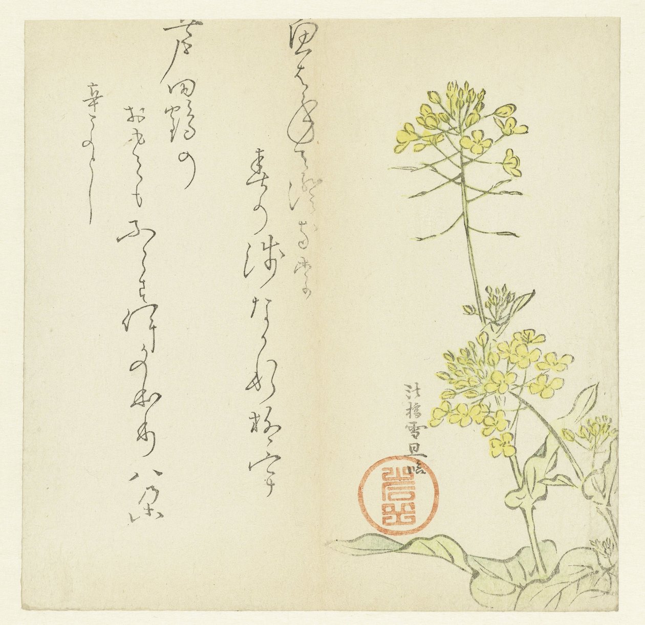 Fleurs - Hasegawa Settan
