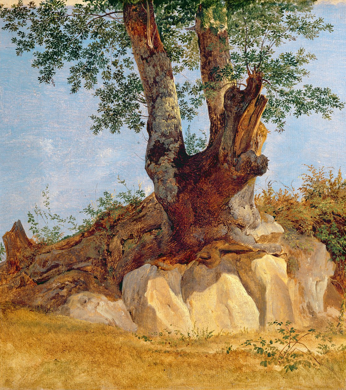 Un arbre en Campagne, 1822-23 - Heinrich Reinhold