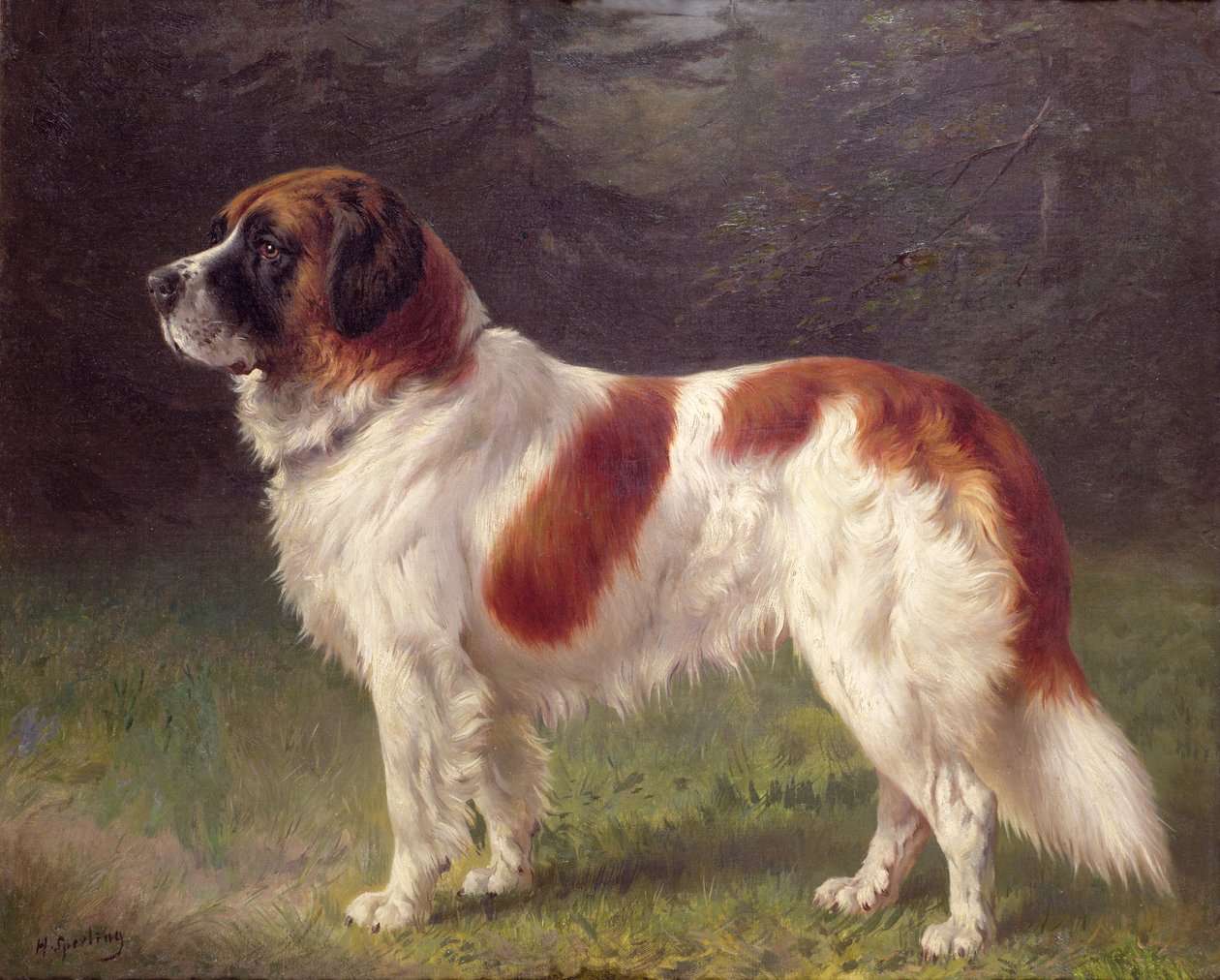 Saint Bernard - Heinrich Sperling