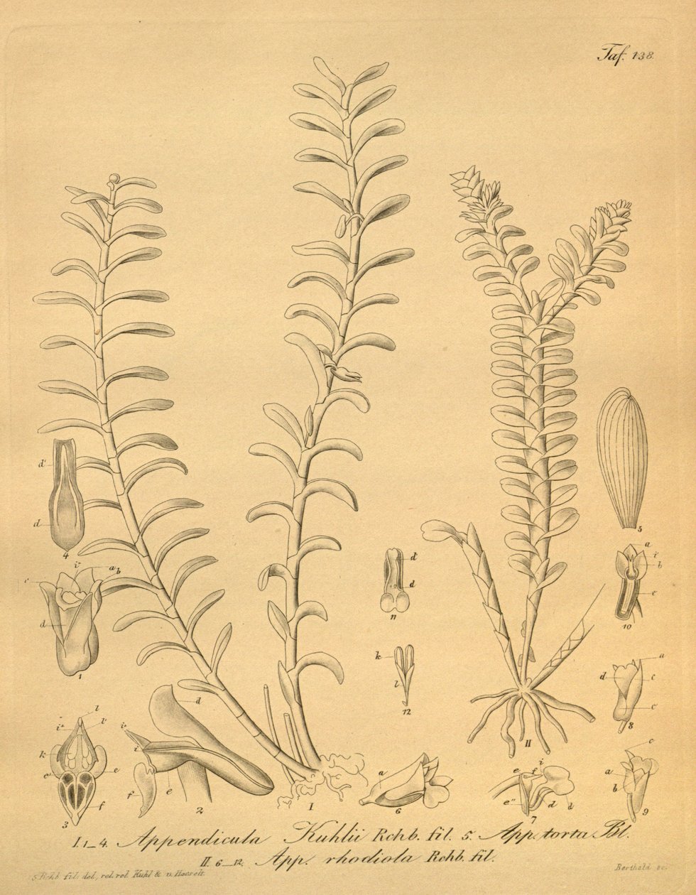 Illustrations d