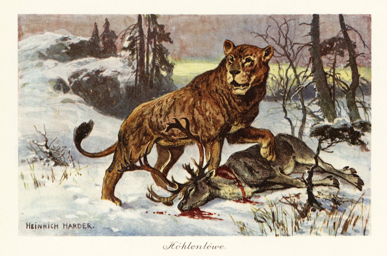 Lion des cavernes eurasien, Panthera spelaea (impression) - Heinrich Harder
