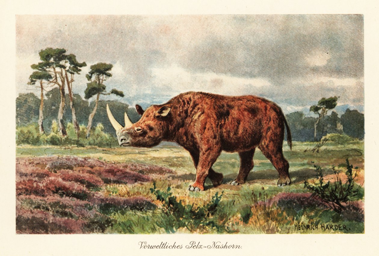 Rhinocéros laineux éteint dans les steppes - Heinrich Harder