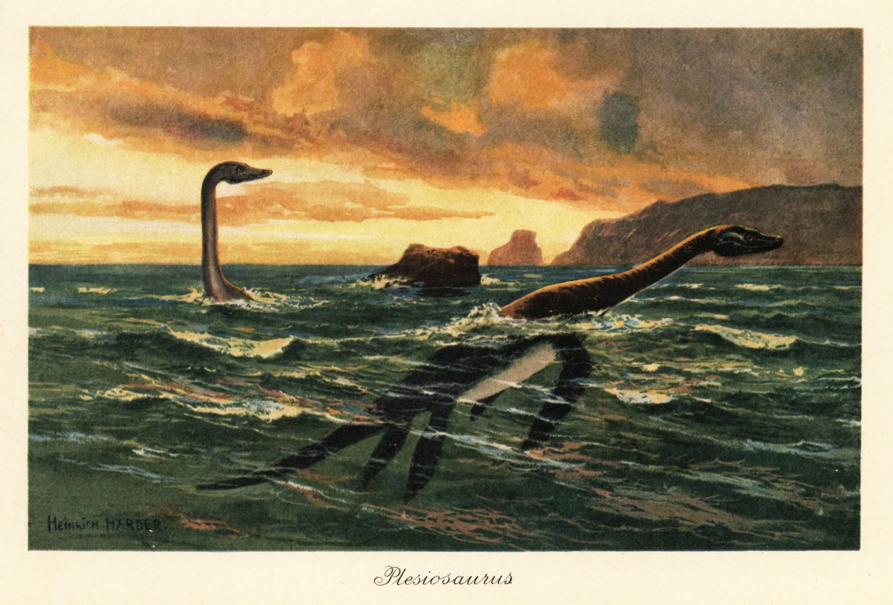 Plesiosaurus dolichodeirus dans l