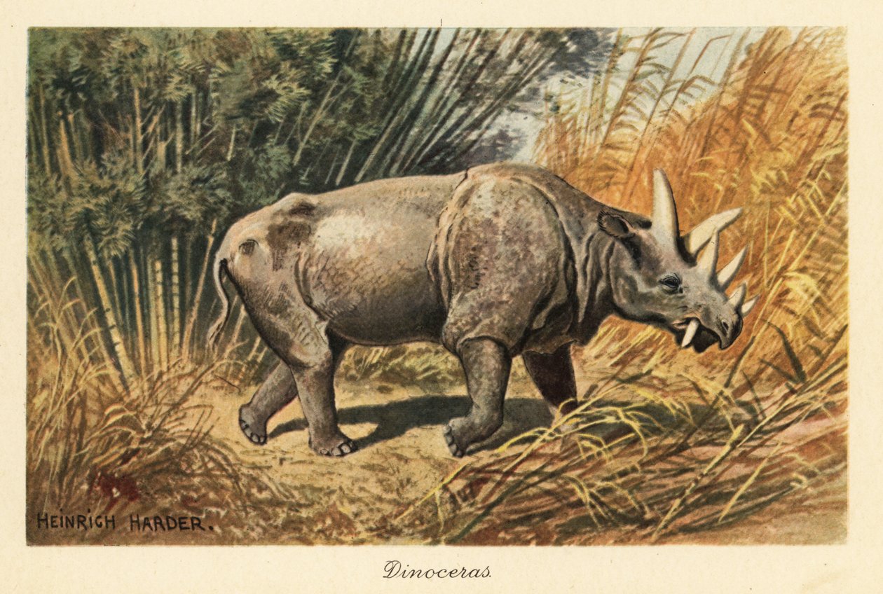 Uintatherium anceps dans une clairière de jungle - Heinrich Harder