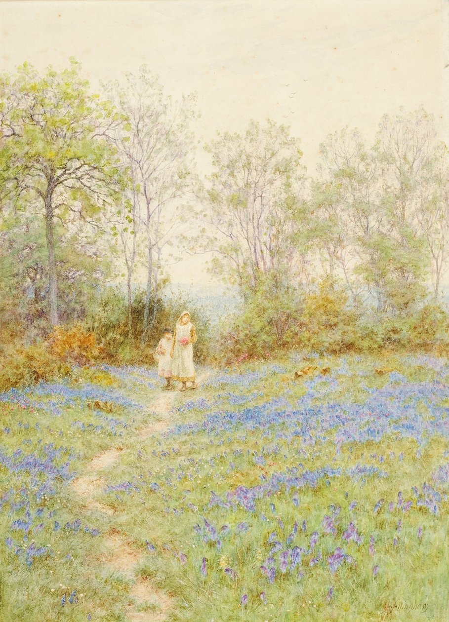 Jacinthes des bois - Helen Allingham