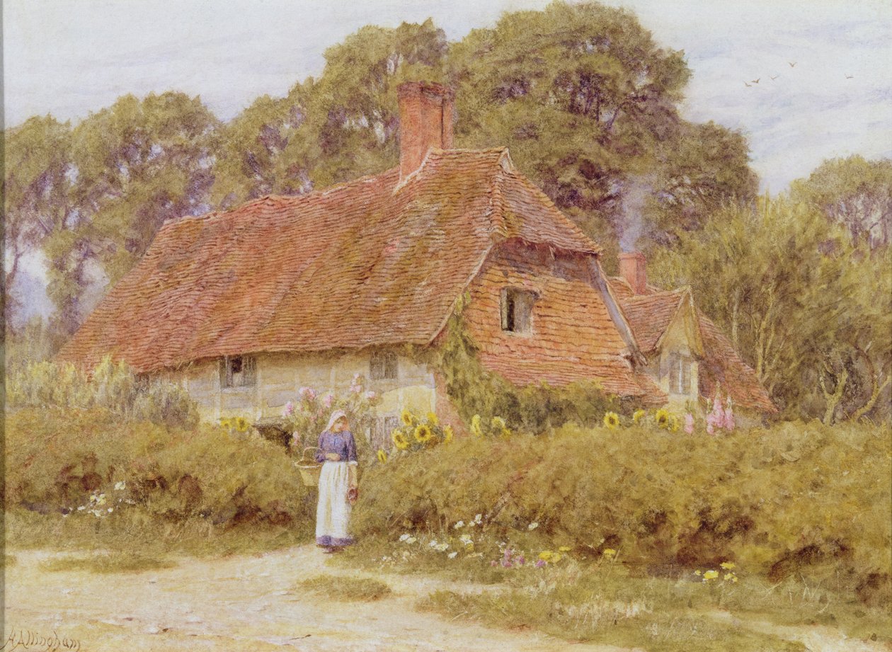 Tournesols - Helen Allingham