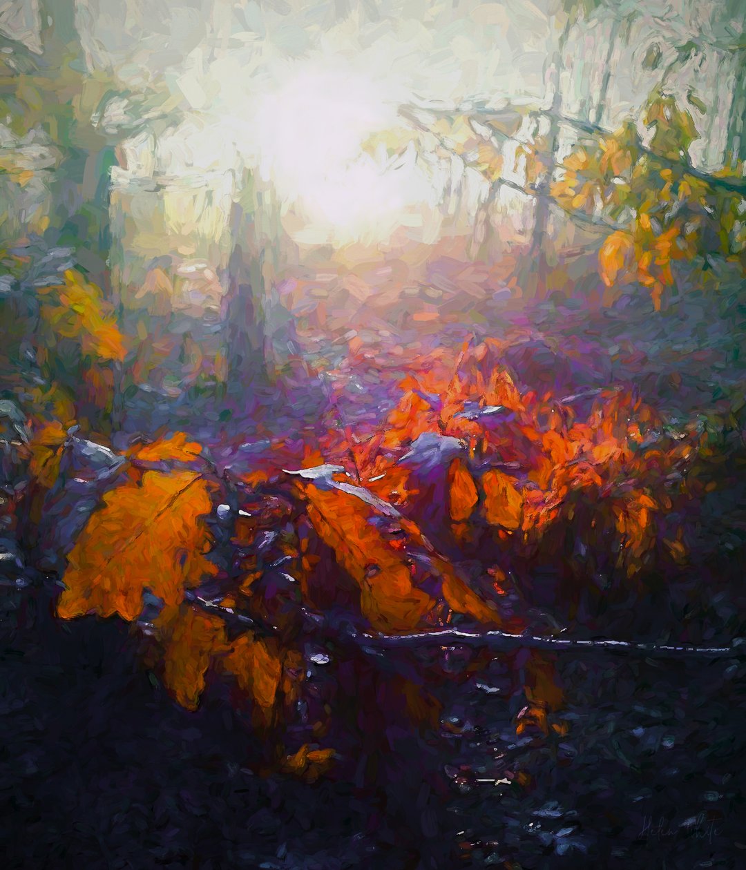 Forêt d
