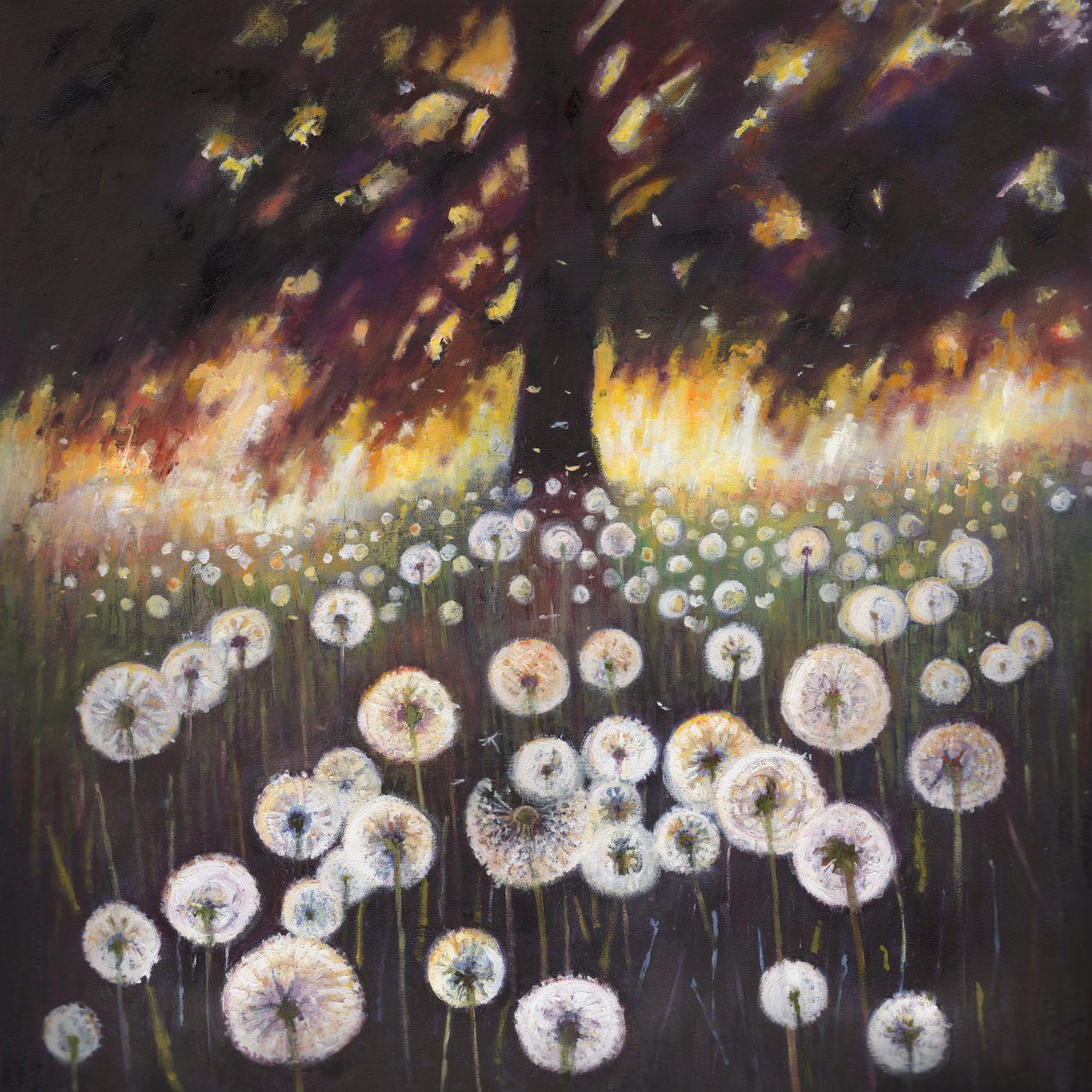 Champ de rêves - Helen White