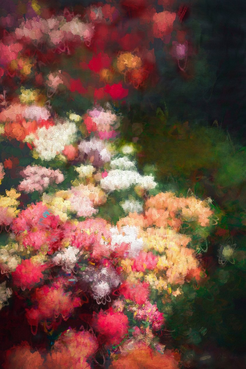 Bordure de fleurs, 2018 - Helen White