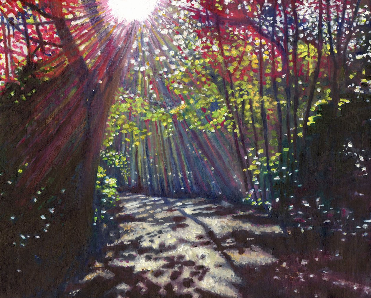 Lumière dispersée, 2013 - Helen White
