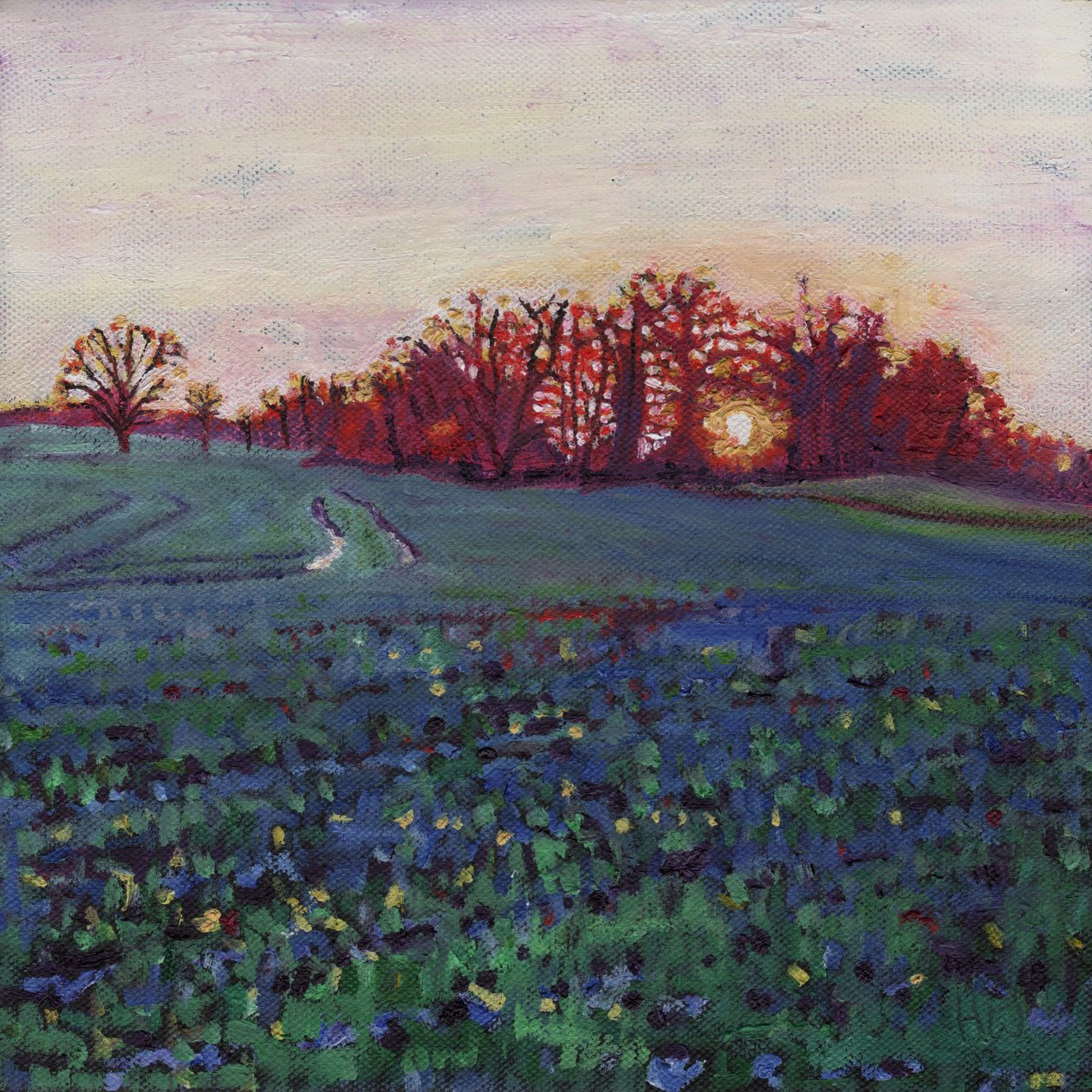 Le soleil salue la terre - Helen White