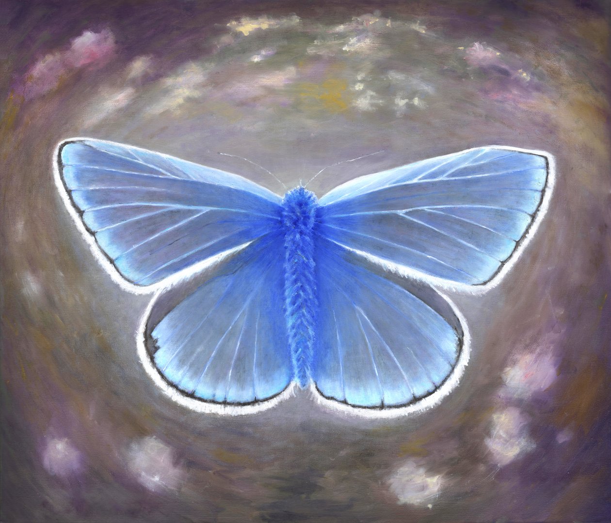 Bleu peu commun - Helen White