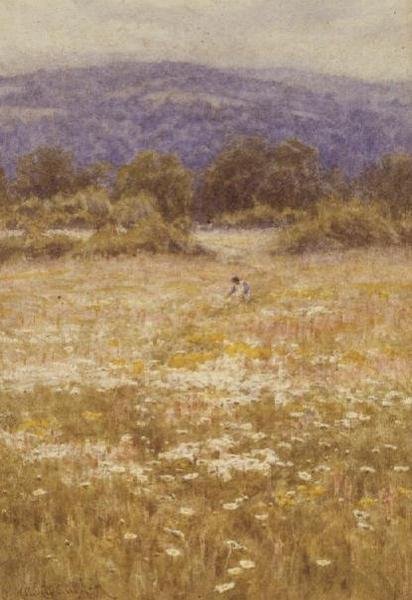 Fleurs d
