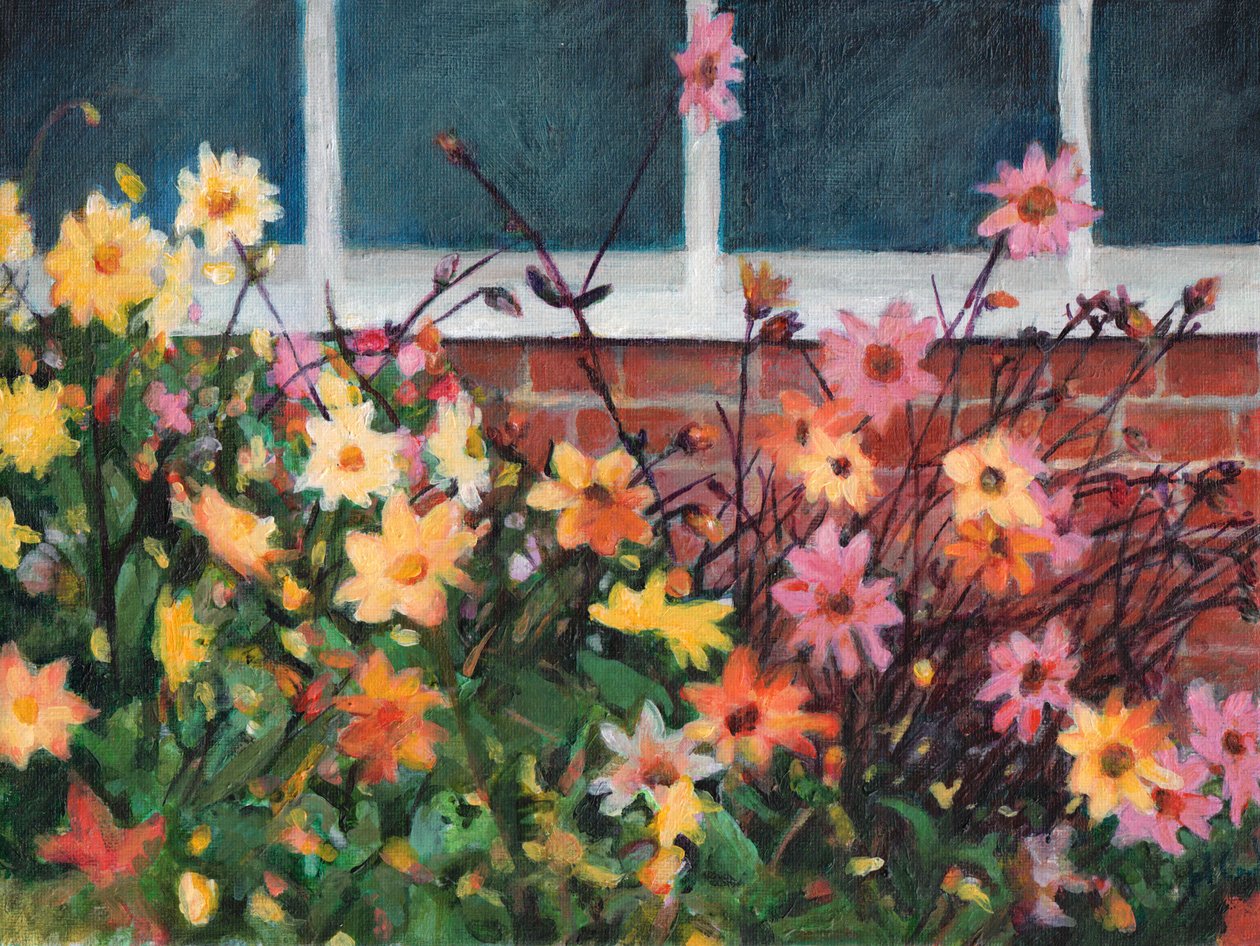 Dahlias - Helen White