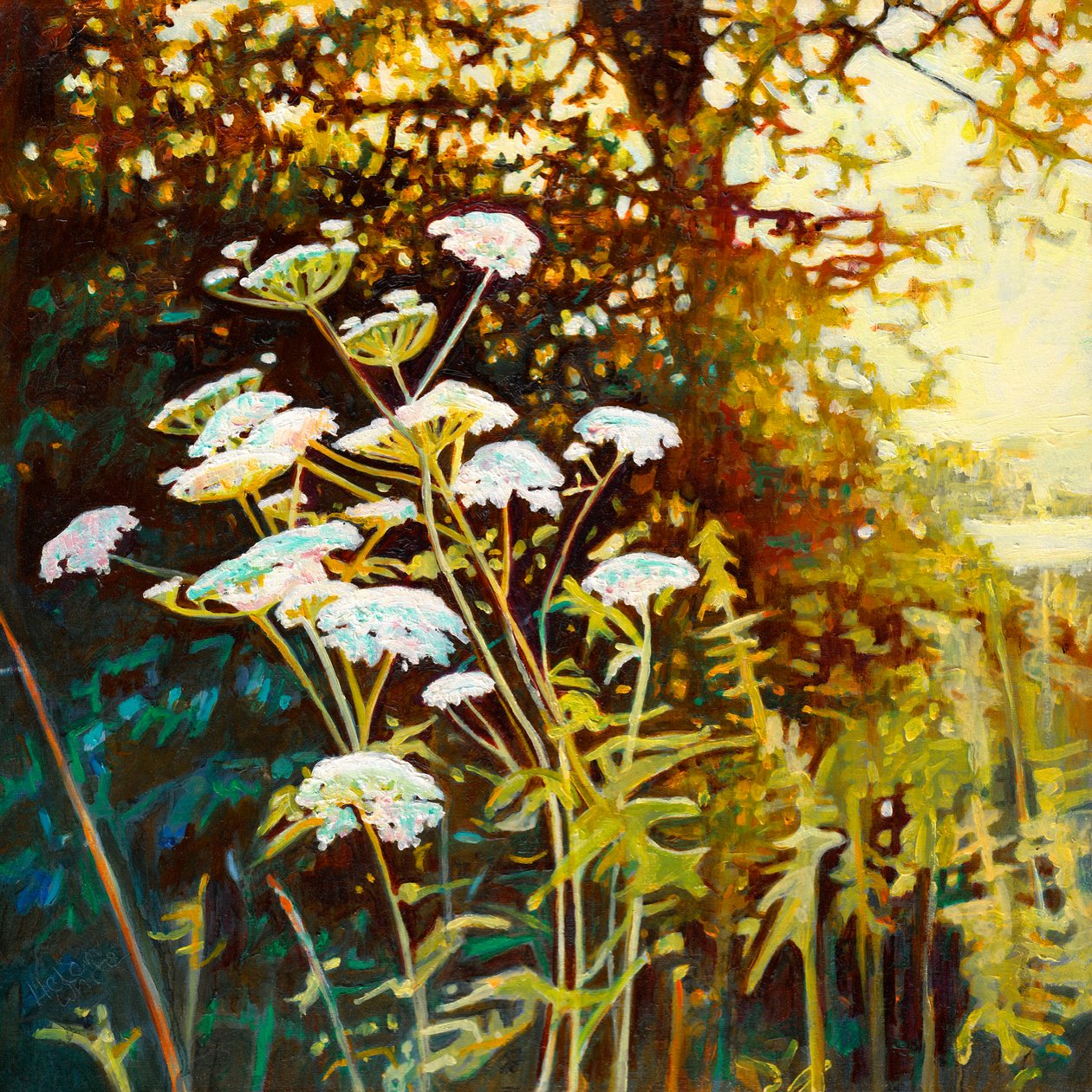 Haie Dorée II - Helen White