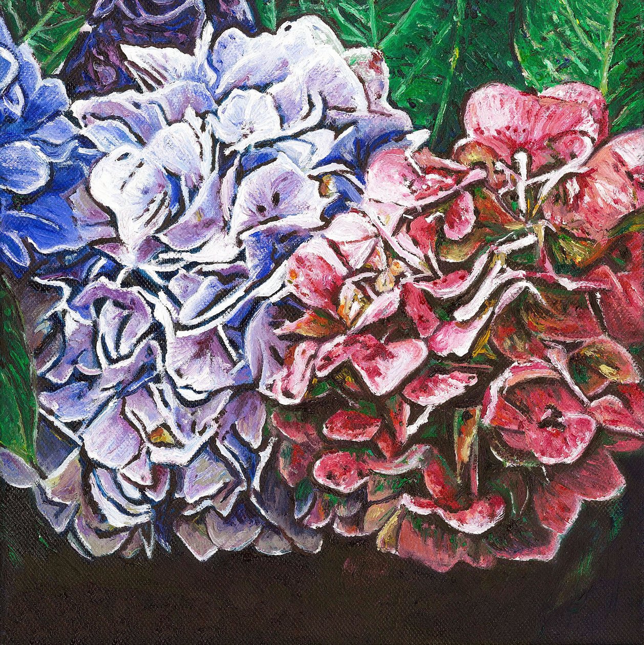 Hortensias, 2010 - Helen White