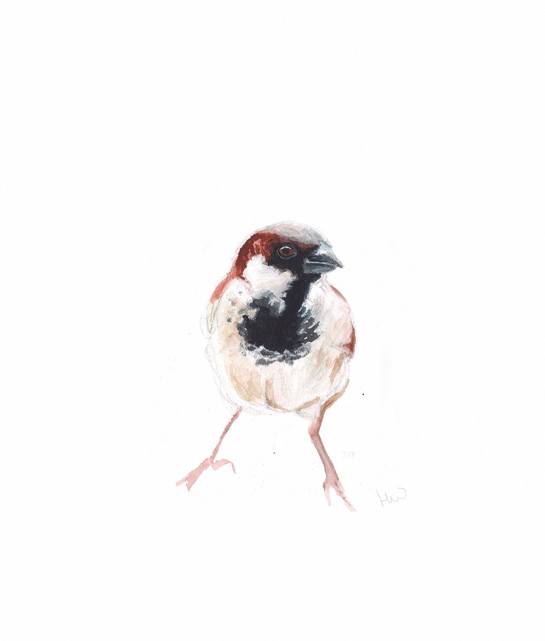 Moineau mâle I, 2022 - Helen White