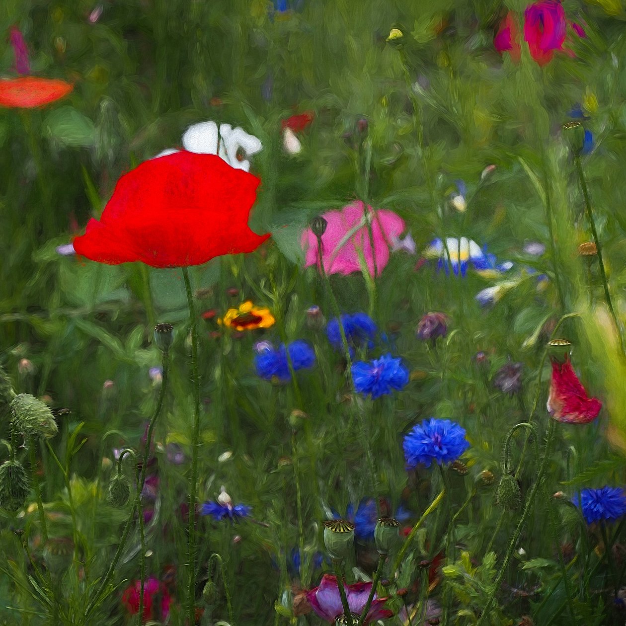 Boîte de couleurs de la nature, 2019 - Helen White
