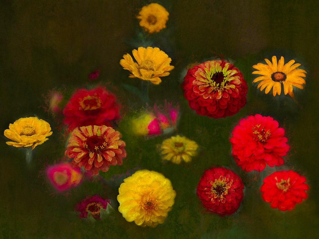 Beauté exceptionnelle, 2019 - Helen White
