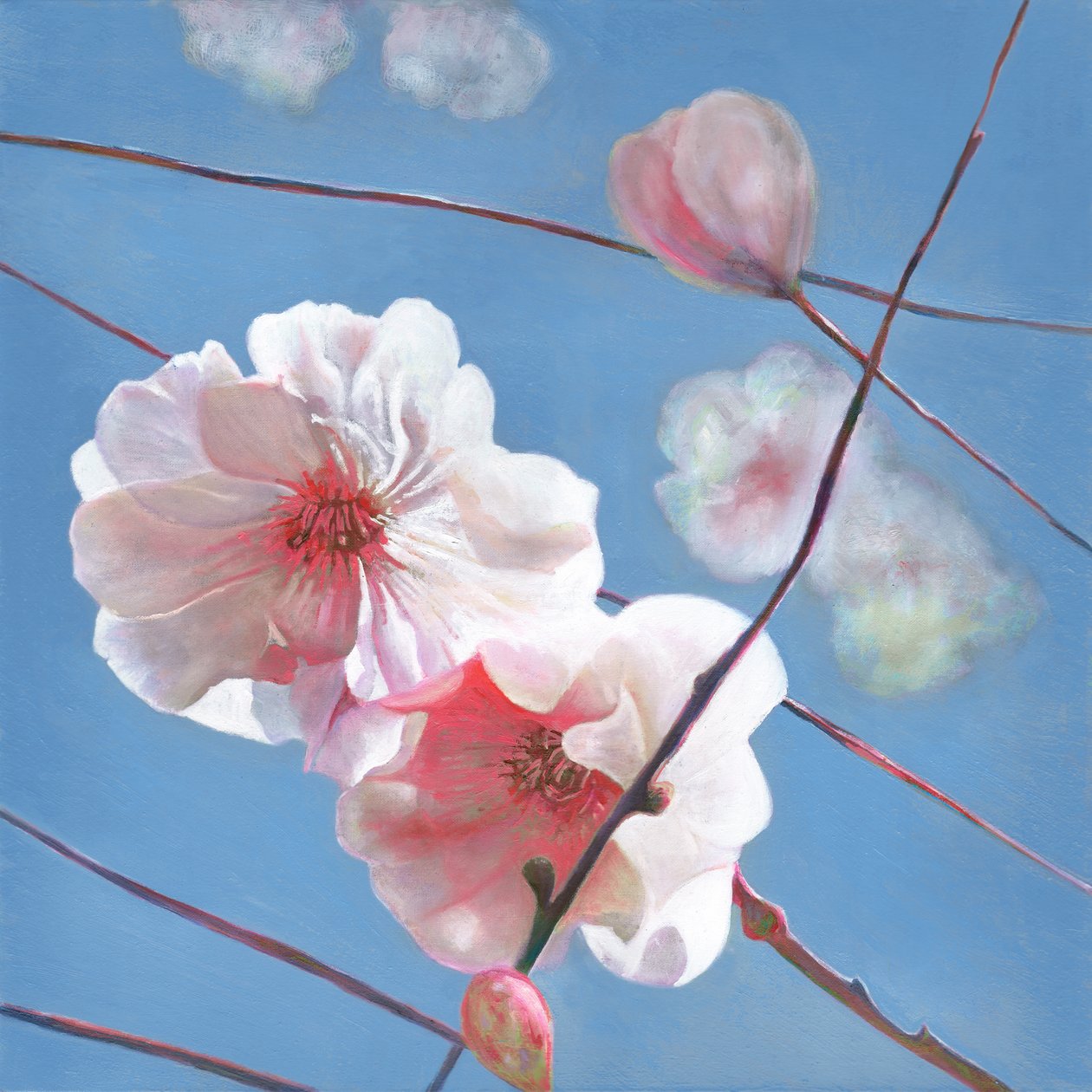 Étoile Brillante - Helen White