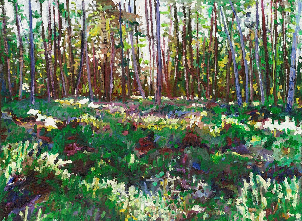 Lumière du Soleil sur la Bruyère - Helen White