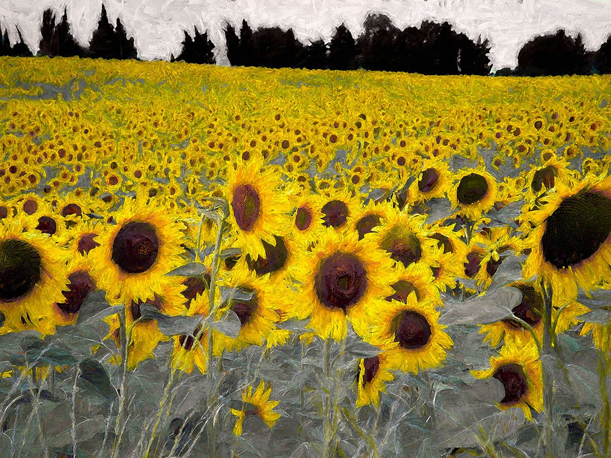 Colline ensoleillée, 2019 - Helen White