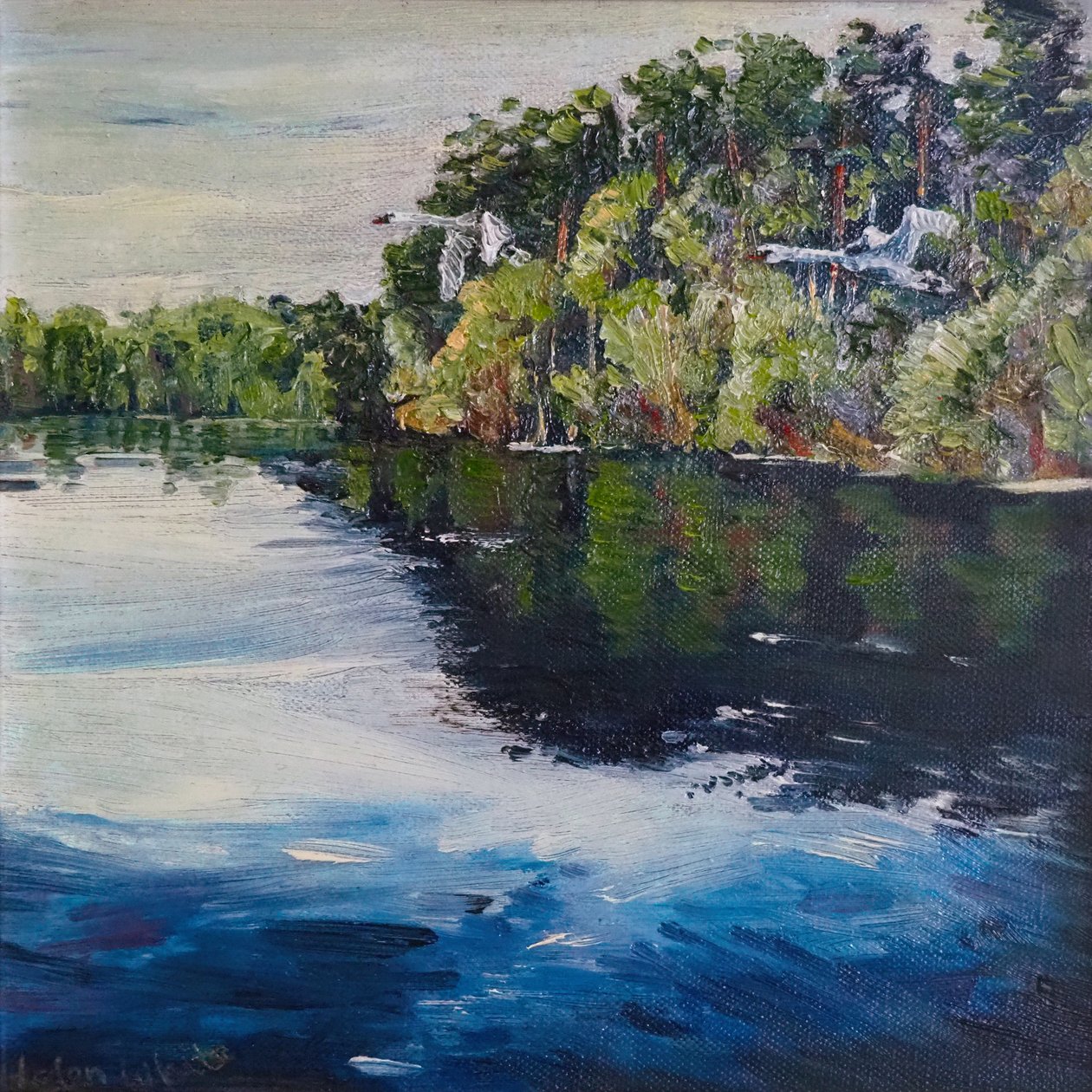 Vol de Cygne - Helen White