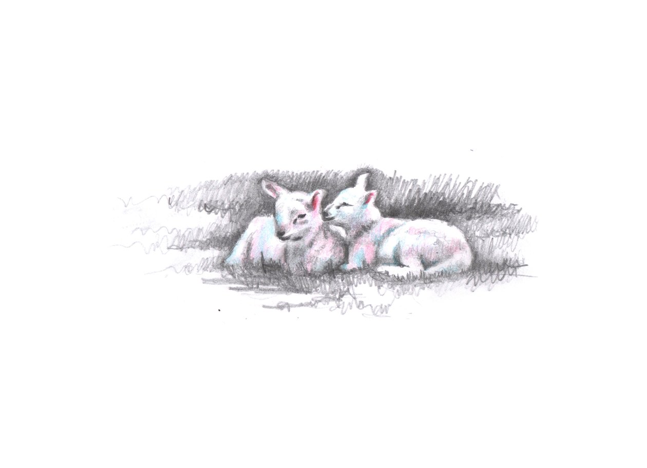 Jumelé, 2016 - Helen White
