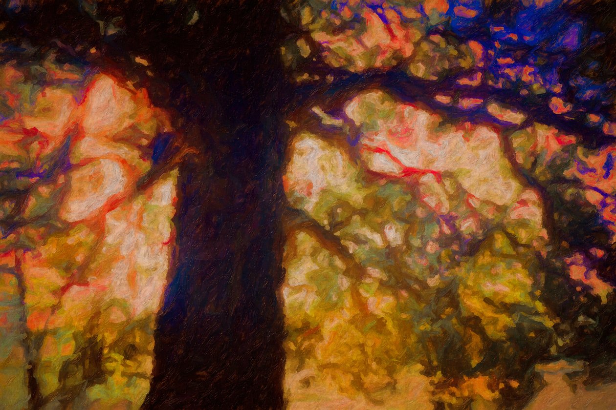 Sous le chêne étalé - Helen White