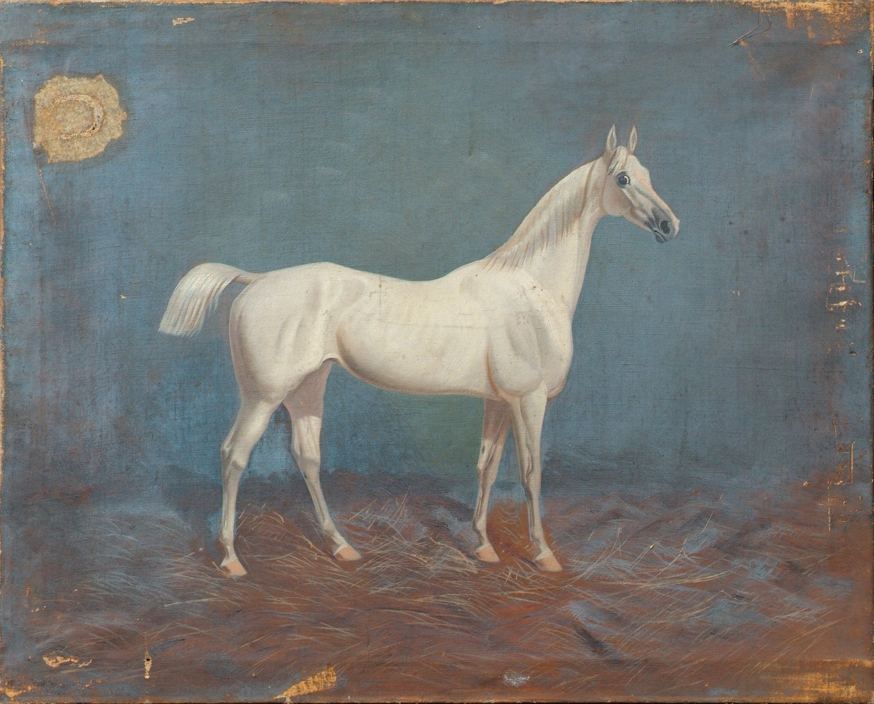 Un cheval blanc - Hema A. Groy