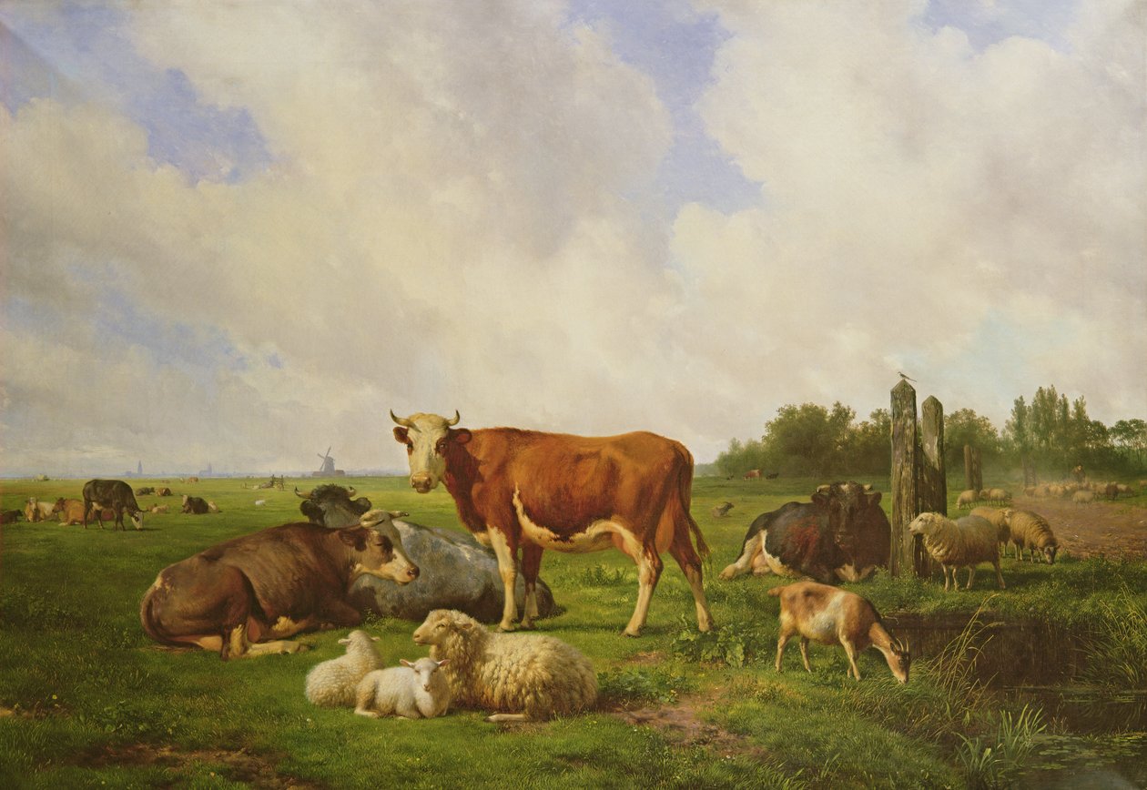 Moutons et Bétail dans un Champ - Hendrick van de Sande Bakhuyzen