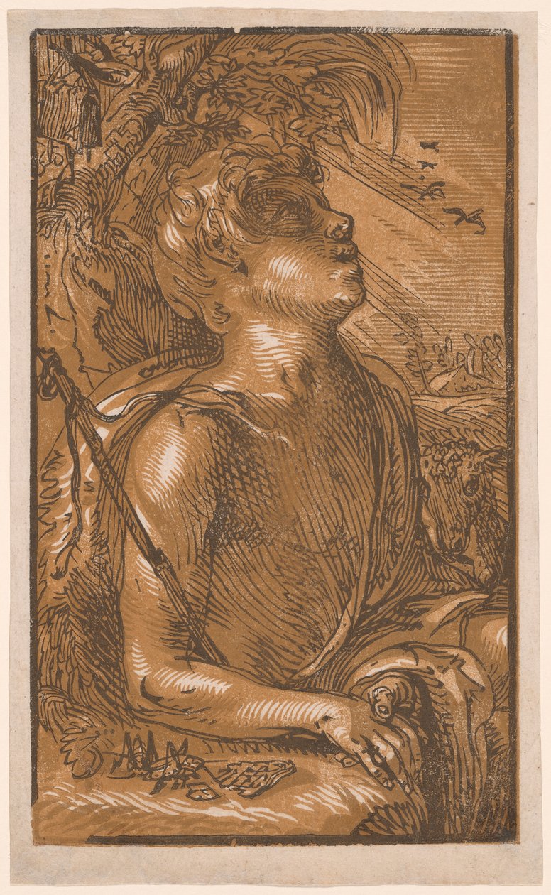 Saint Jean Baptiste - Hendrick Goltzius