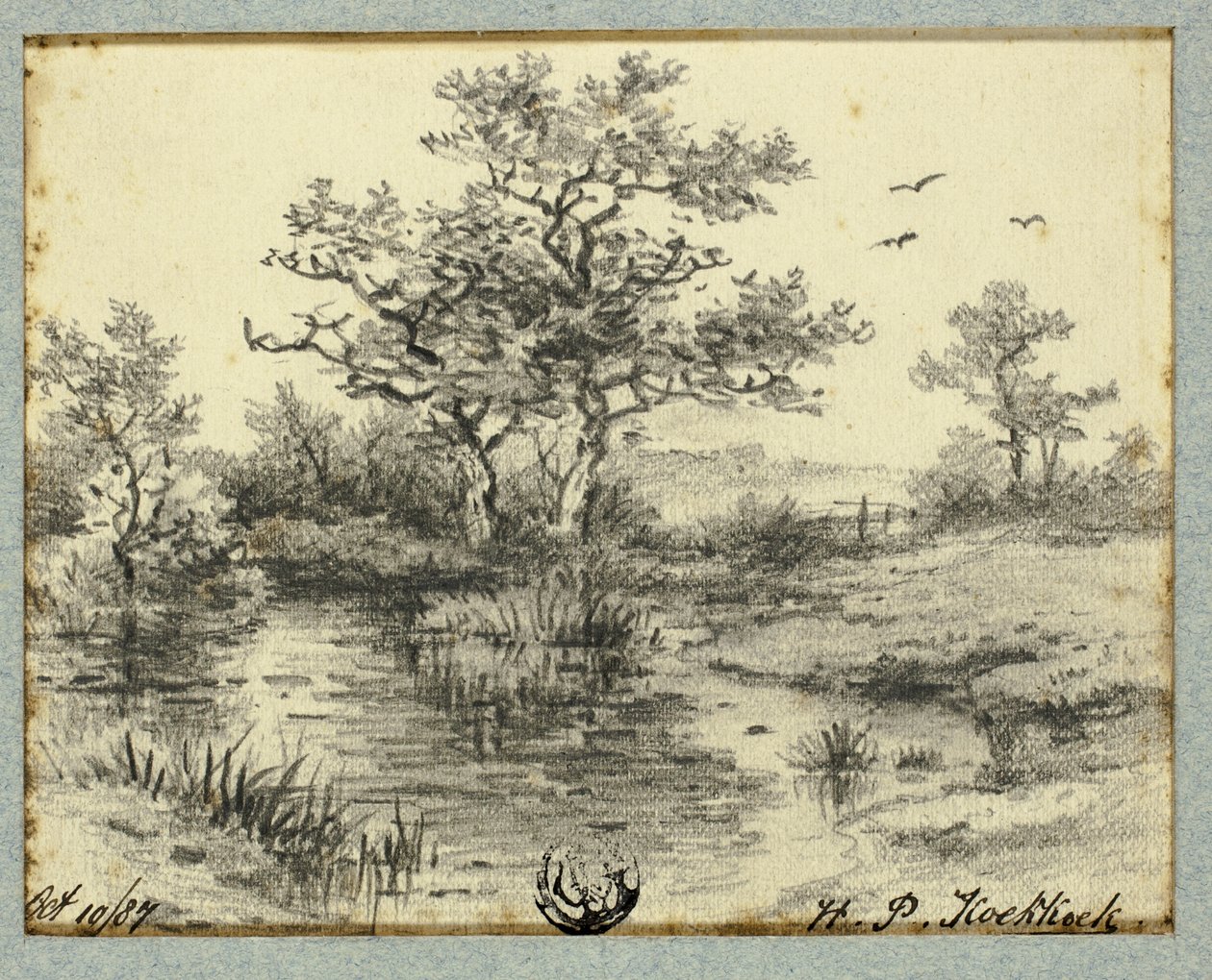 Arbres près de l