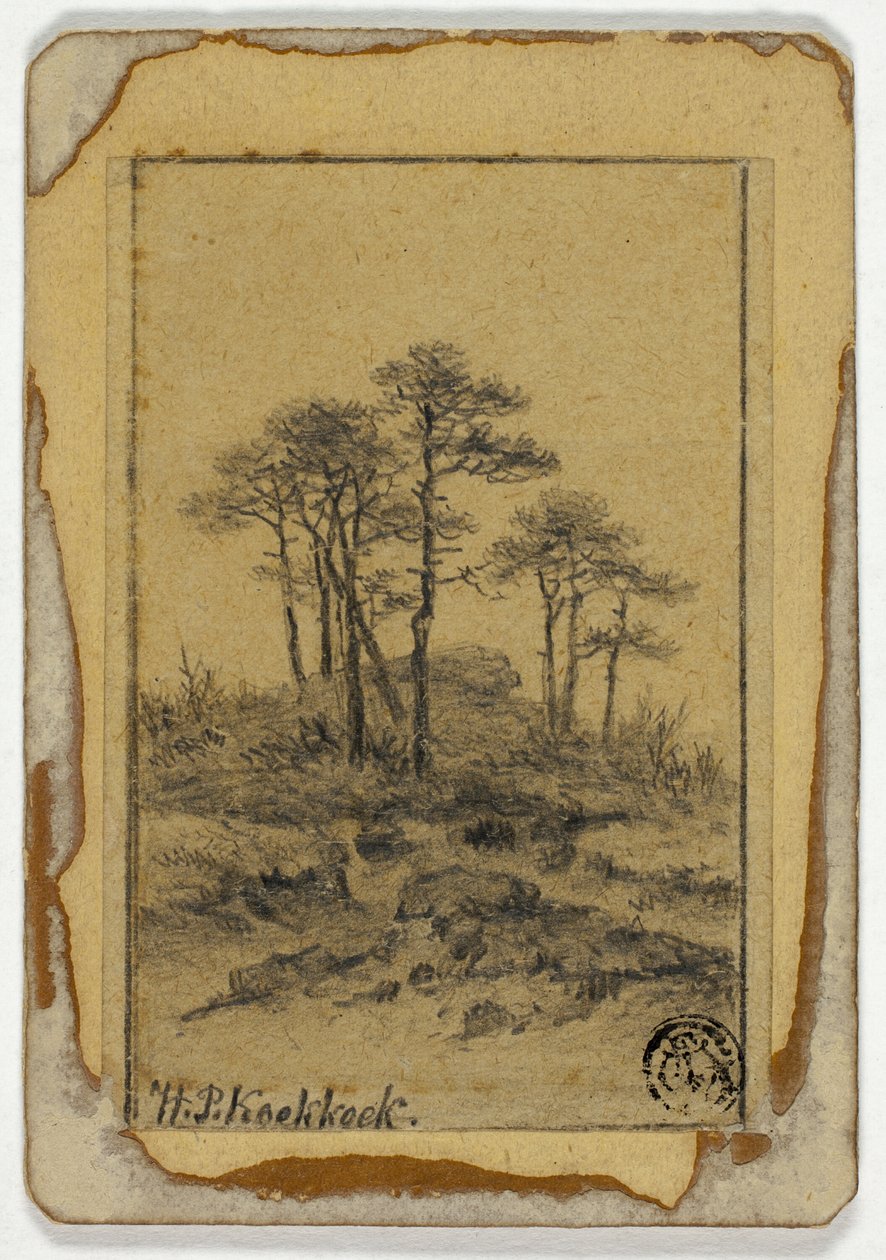 Arbres sur une colline rocheuse - Hendrik Pieter Koekkoek