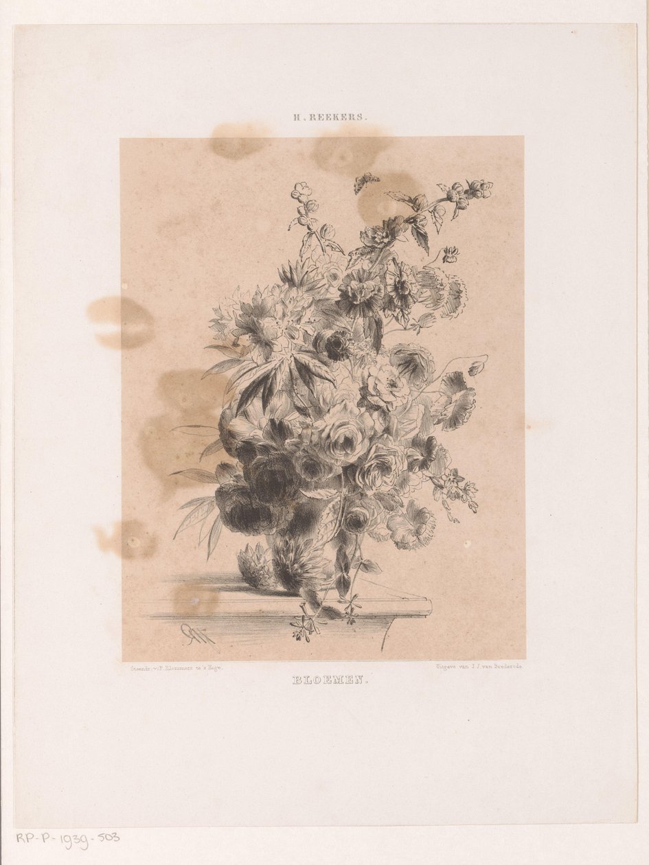 Bouquet de fleurs - Hendrik Reekers