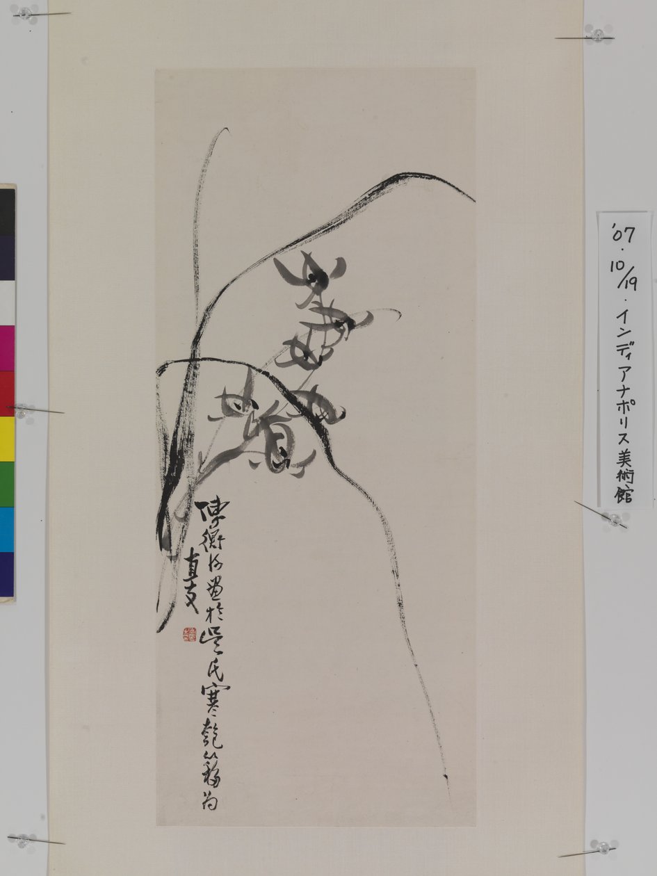 Orchidées - Hengke Chen