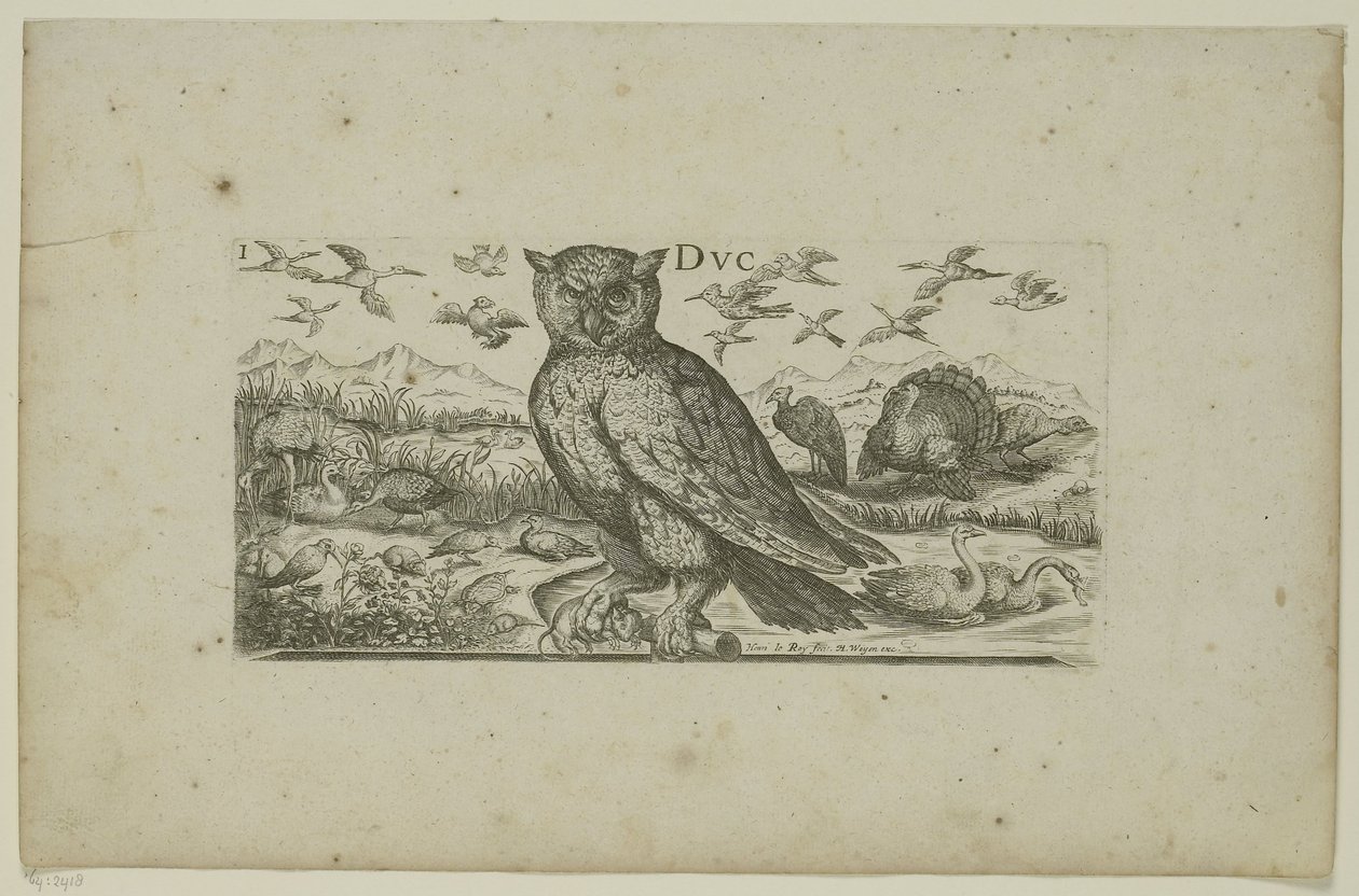 Hibou et autres oiseaux - Henri Le Roy