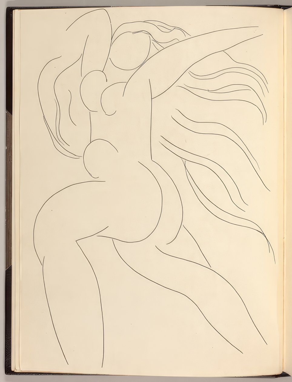 Poésies - Henri Matisse